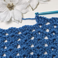 Easy Crochet Stitch: Double V-Stitch