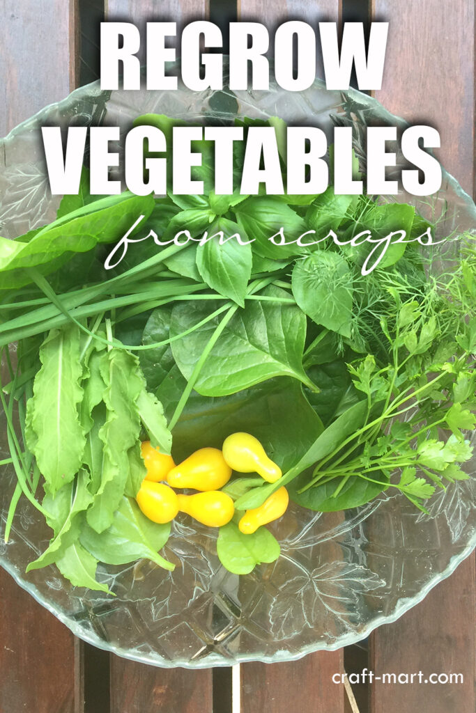 How to Grow Vegetables from Scraps