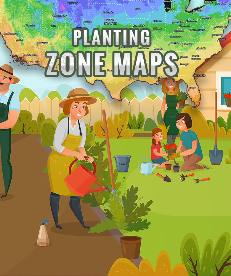 What is My USDA Planting Zone? - Food Gardening Network