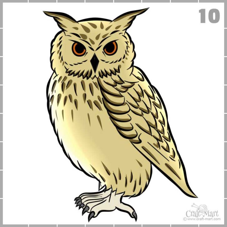 213-drawing-owl-step-10 - Craft-Mart