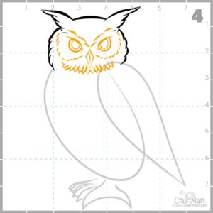 drawing owl's face