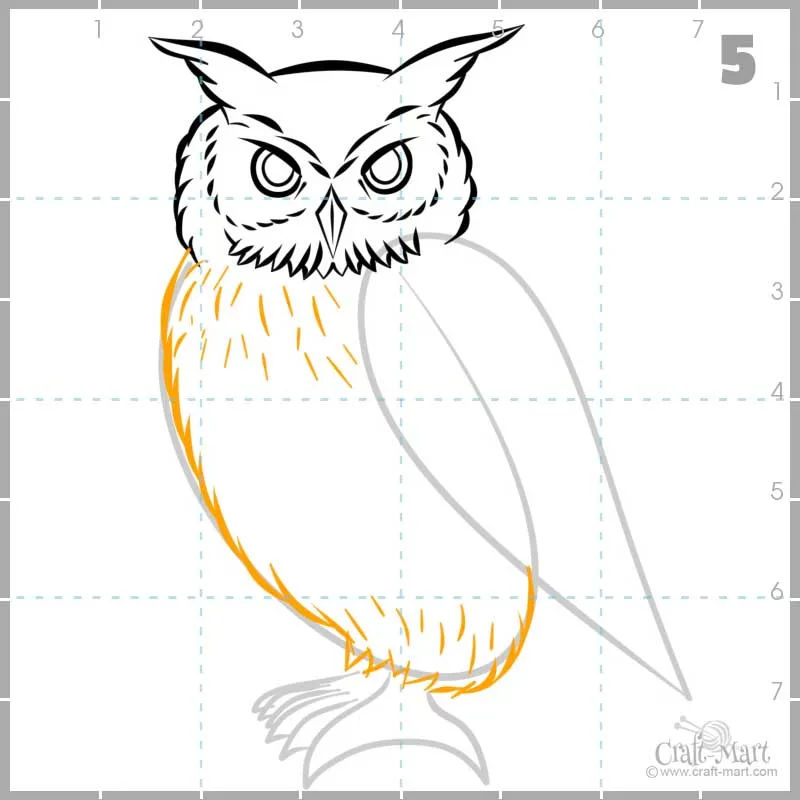 drawing owl's body