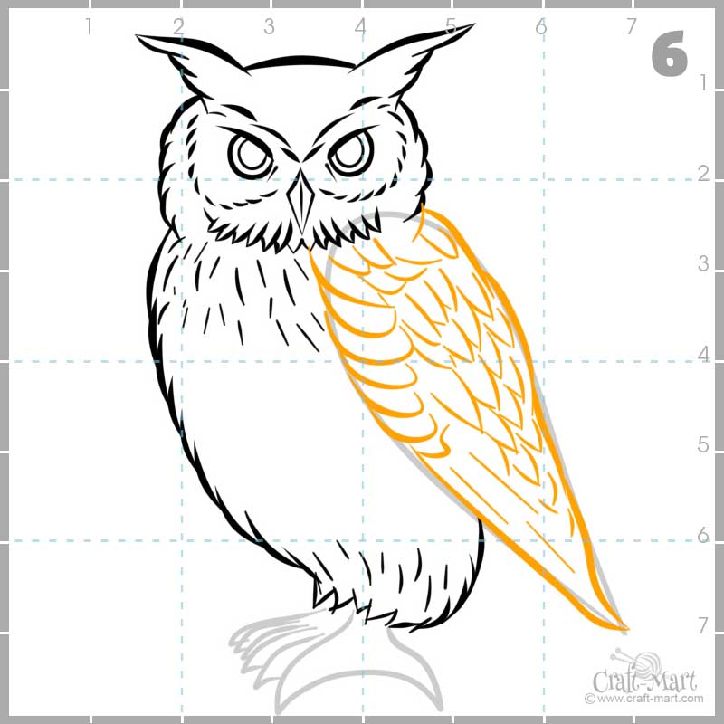 drawing owl's wing