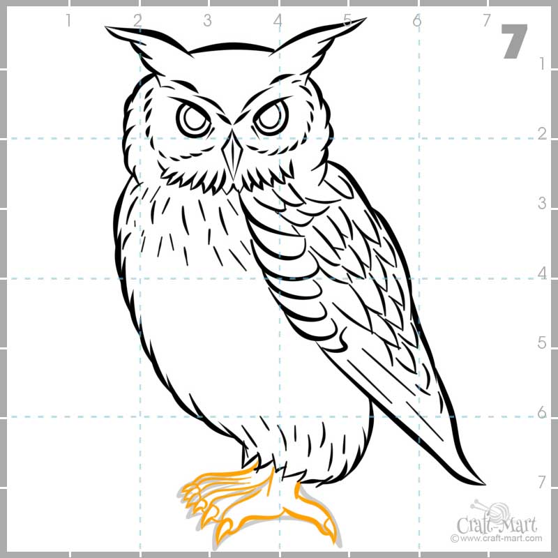 drawing owl's feet