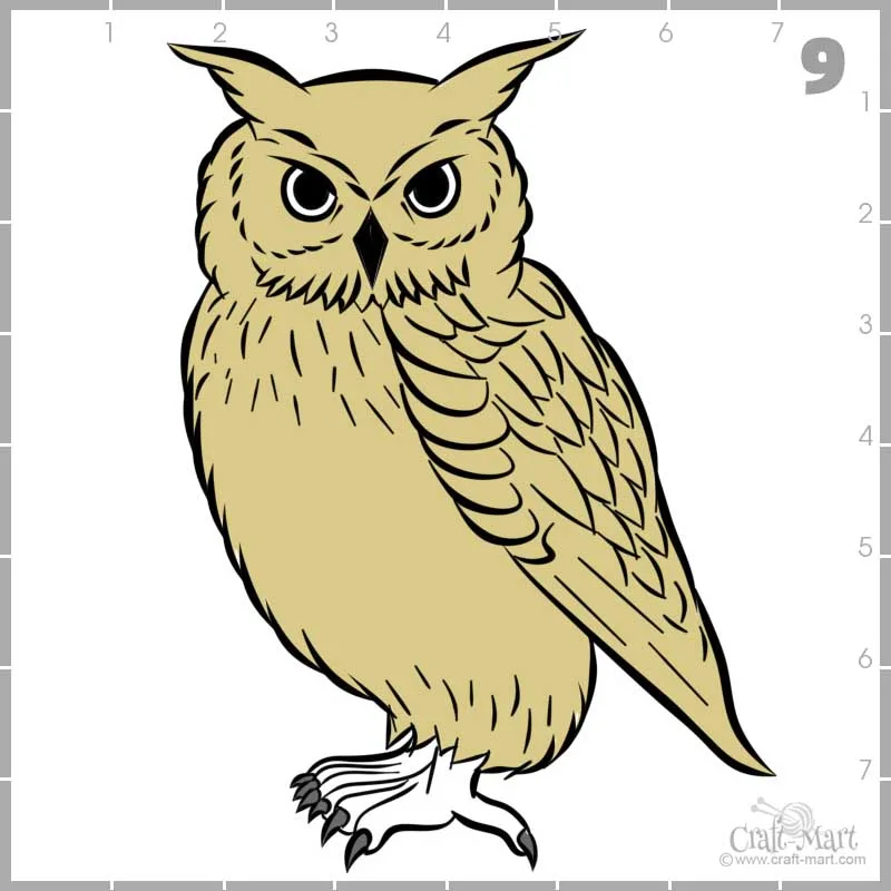 coloring owl