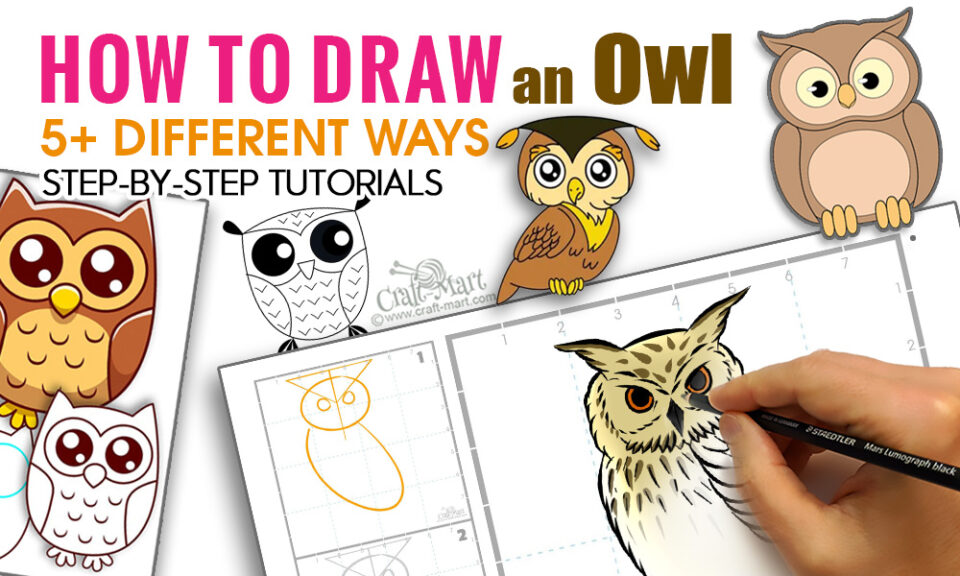 213-how-to-draw-an-owl-6-different-ways-TW - Craft-Mart