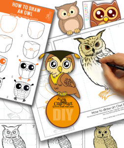 how to draw an owl