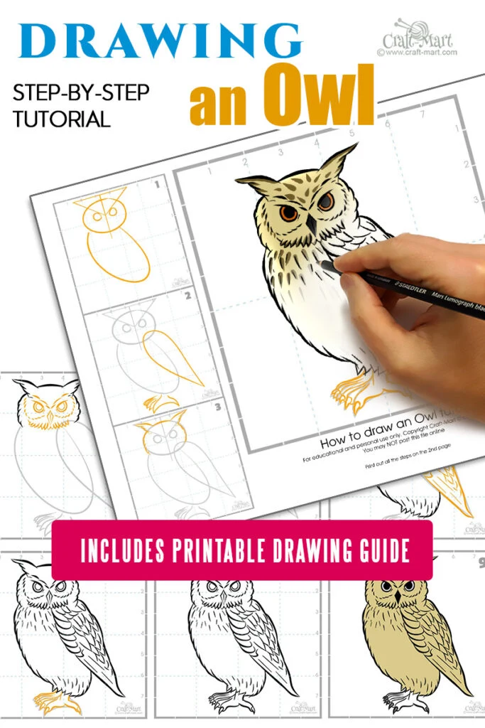213 how to draw an owl drawing guide