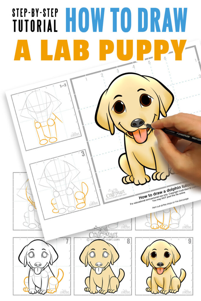 Cute Labrador puppy drawing tutorial