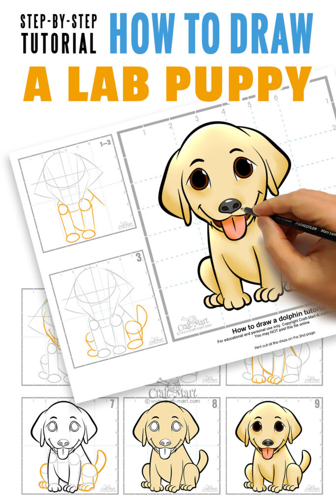 215 how to draw lab puppy printable guide