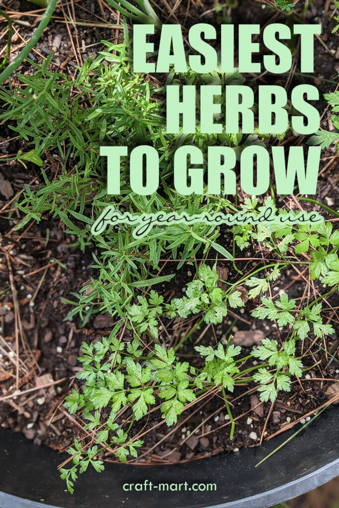 How to Grow Herbs