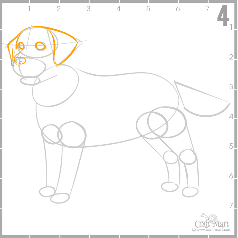 step 4 - draw dog's ears and nose