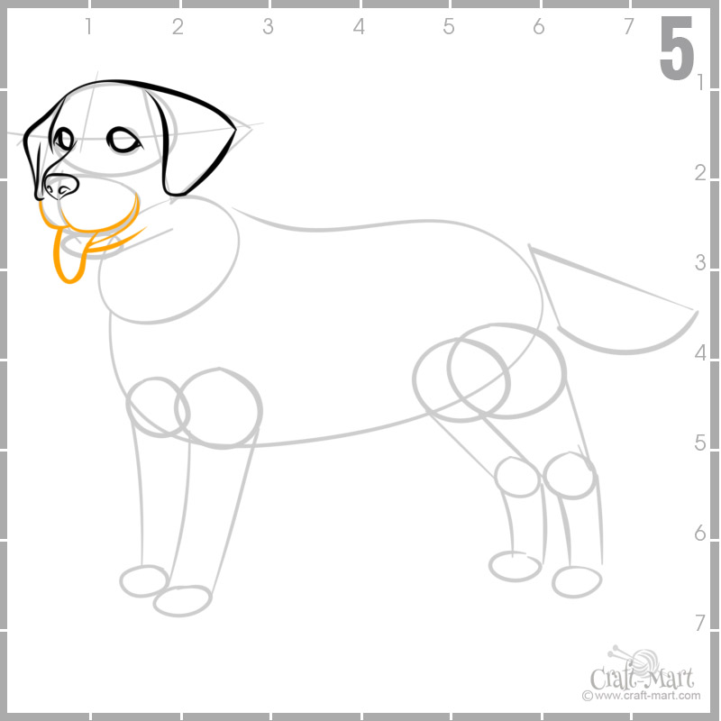 step5 - draw dog's mouth and tongue