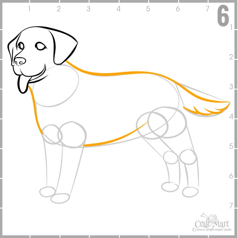 step 6 - draw dog's body and tail
