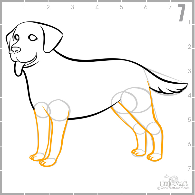 step 7 - finish drawing dog's legs