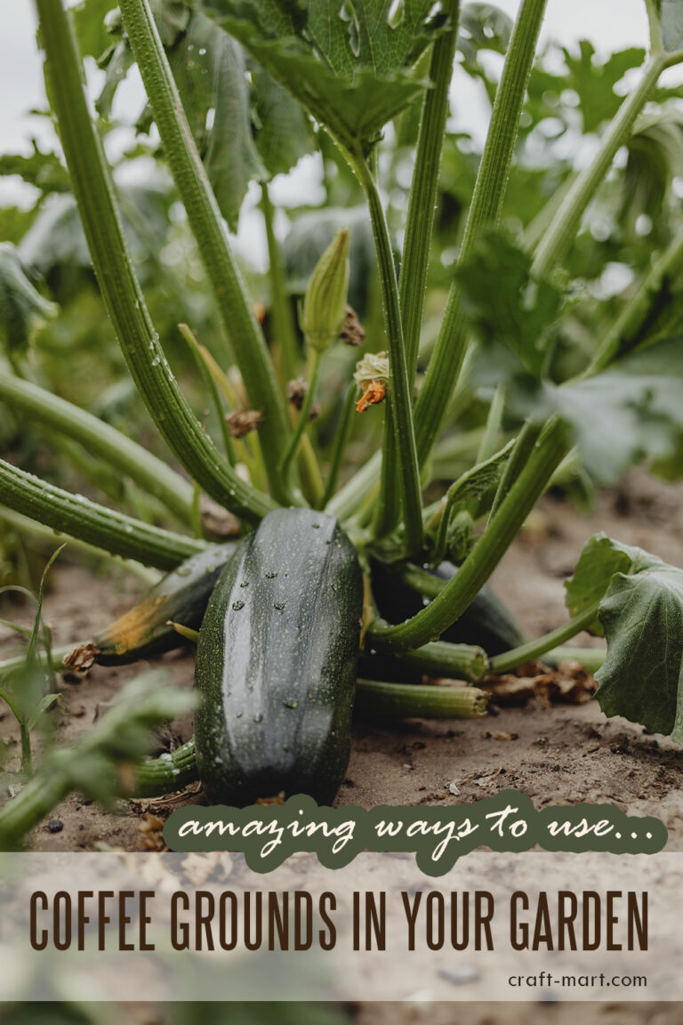 10 Surprising Ways to Use Coffee Grounds in Your Garden CraftMart