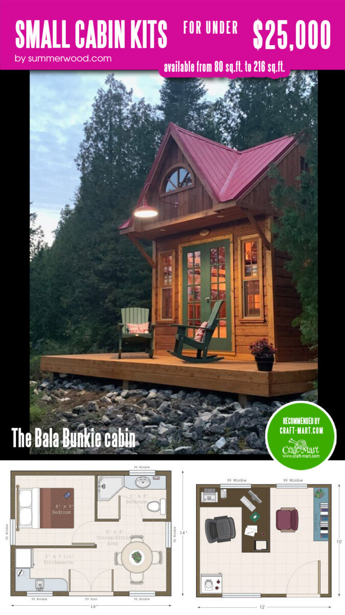 Small Cabin Kits For Under 50K Craft Mart   300 Small Cabin Kit Bala Bunkie 2 675x1200 