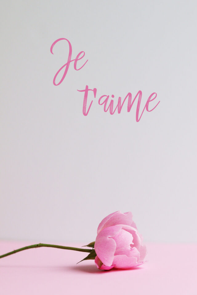 315_14_VALENTINES_DAY_PRINTABLES_jetaime - Craft-Mart