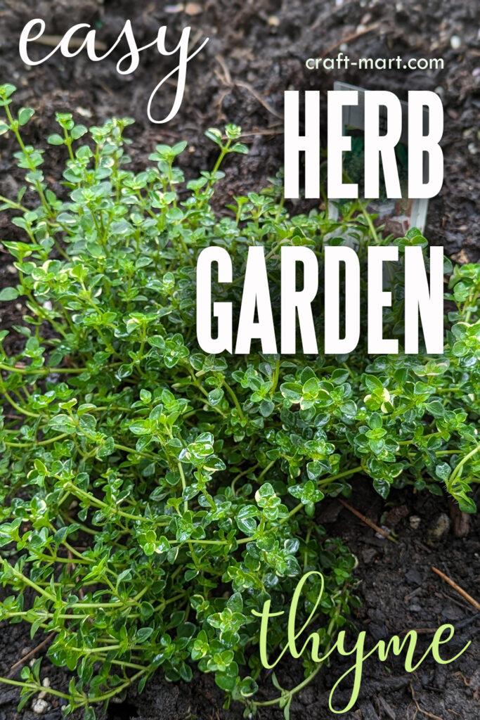 herb garden in your backyard