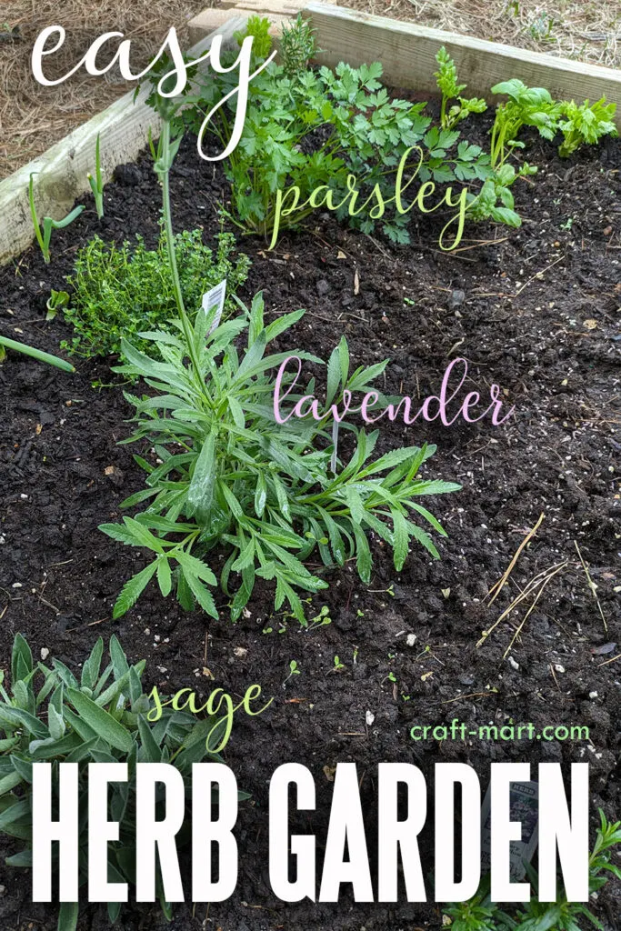 preparing soil for your herb garden