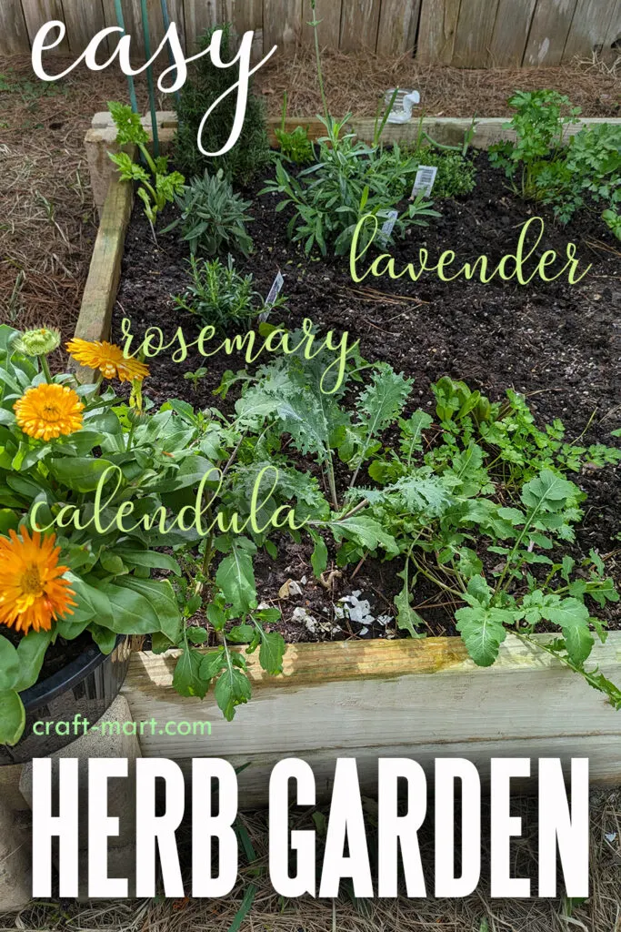 an easy herb garden: calendula, rosemary, lavender