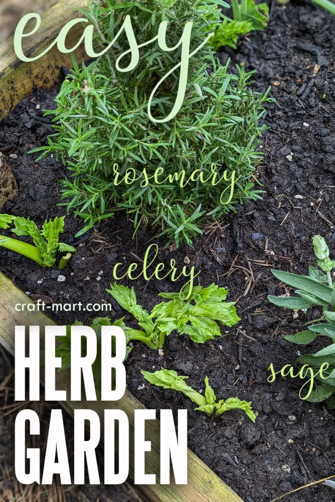 planting your herb garden