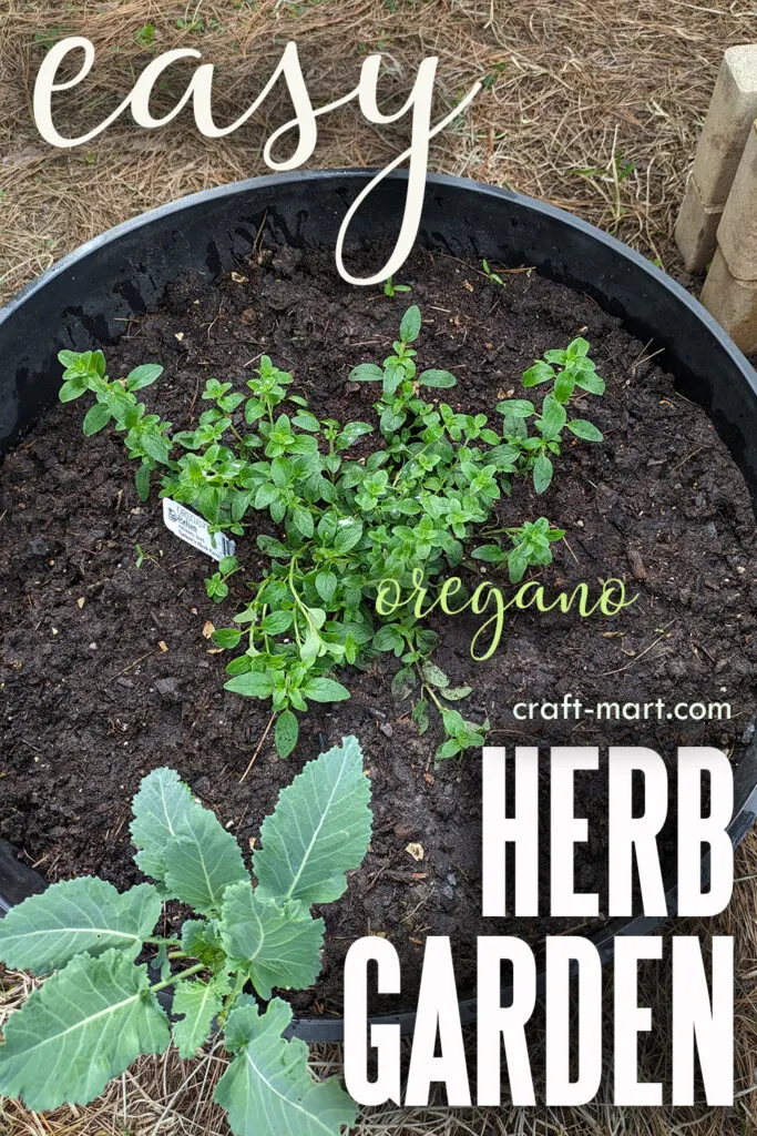 Best Herbs for Container Gardening