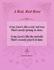 A Red, Red Rose by Robert Burns (1759–1796)