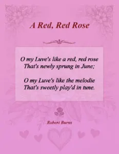 A Red, Red Rose by Robert Burns (1759–1796)