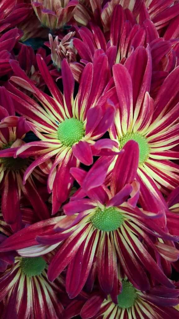 free fall wallpaper backgrounds