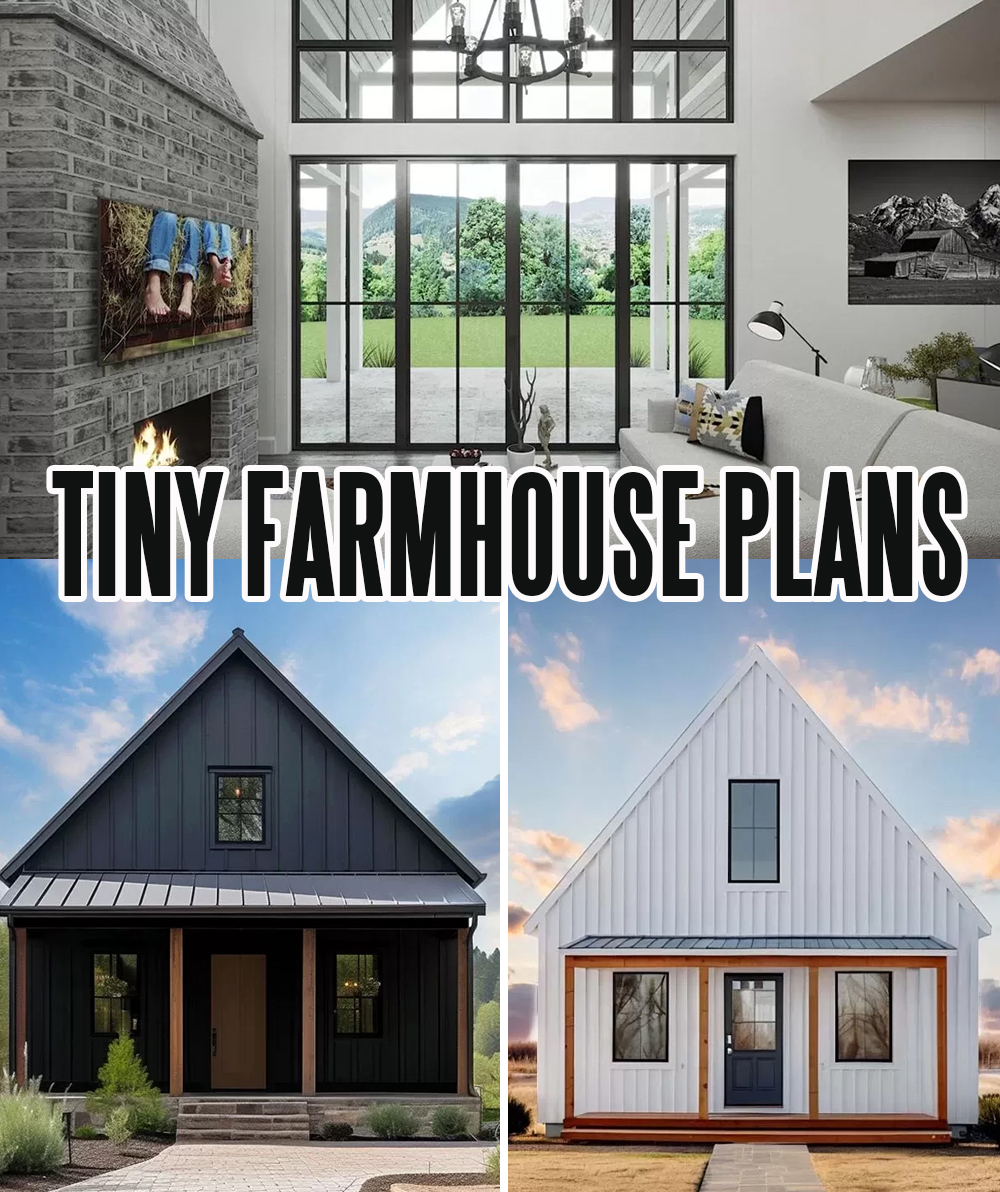 tiny farmhouse plans