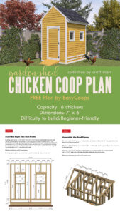 garden shed chicken coop