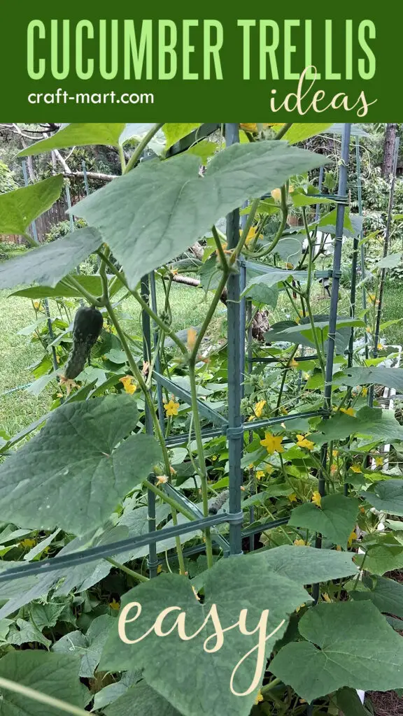 flexible cucumber trellis system