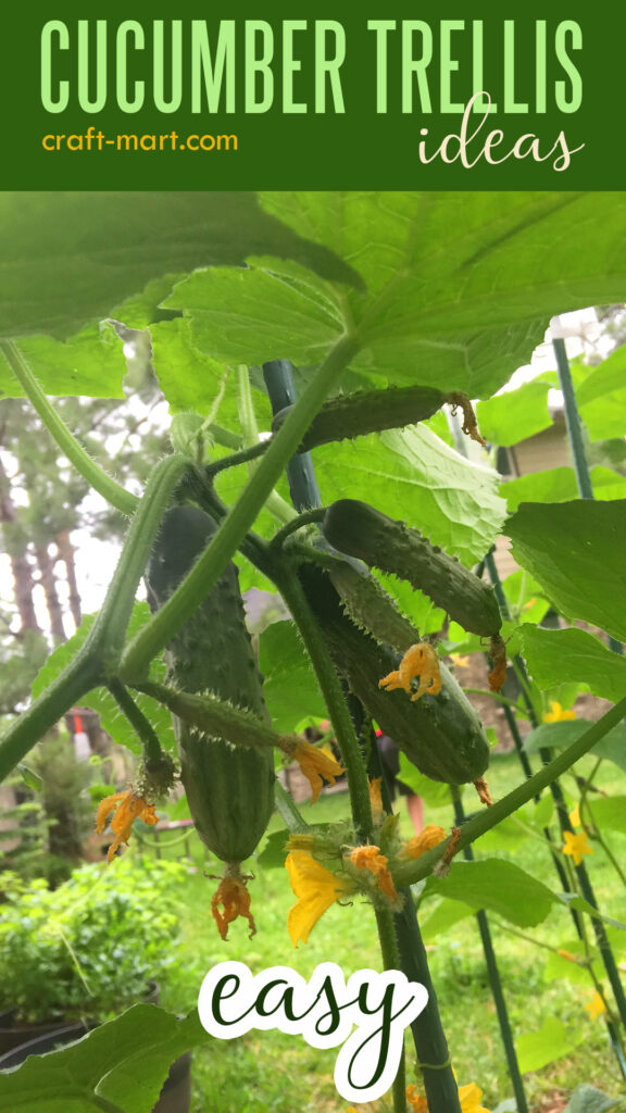 adjustable cucumber trellis 