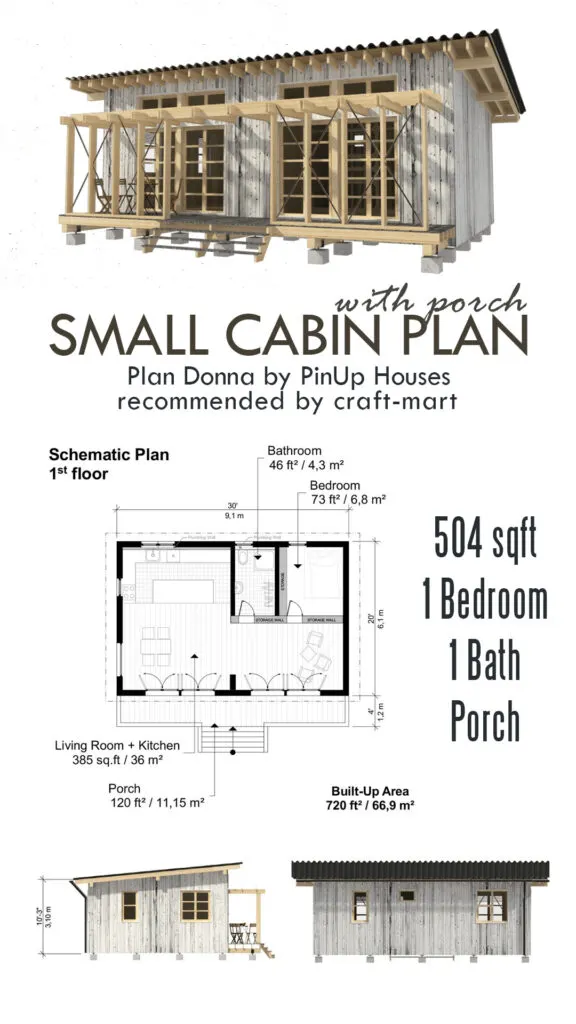 Affordable Shed Roof Cabin with Porch
