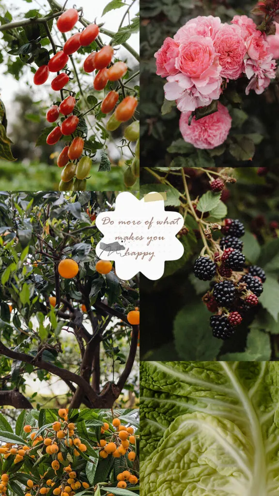 vision board for happiness