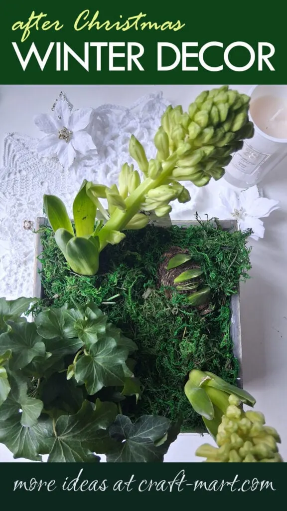 After Christmas Winter Decor