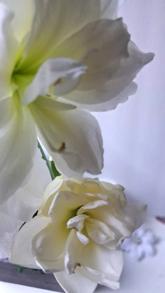 After-Christmas winter Decor