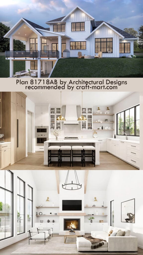 Multi-family modern country house