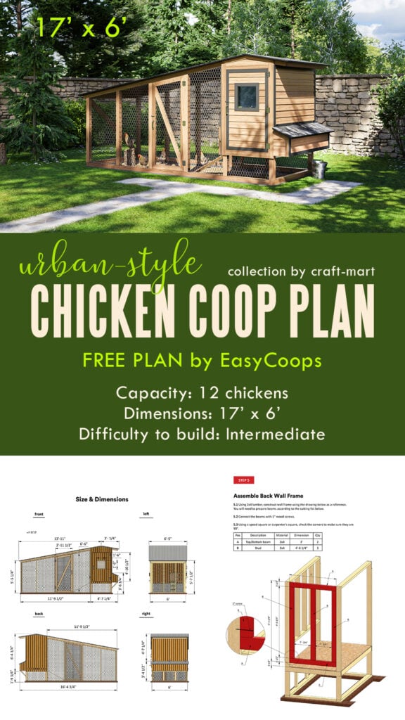 Urban-Style Chicken Coop for 12 Chicks