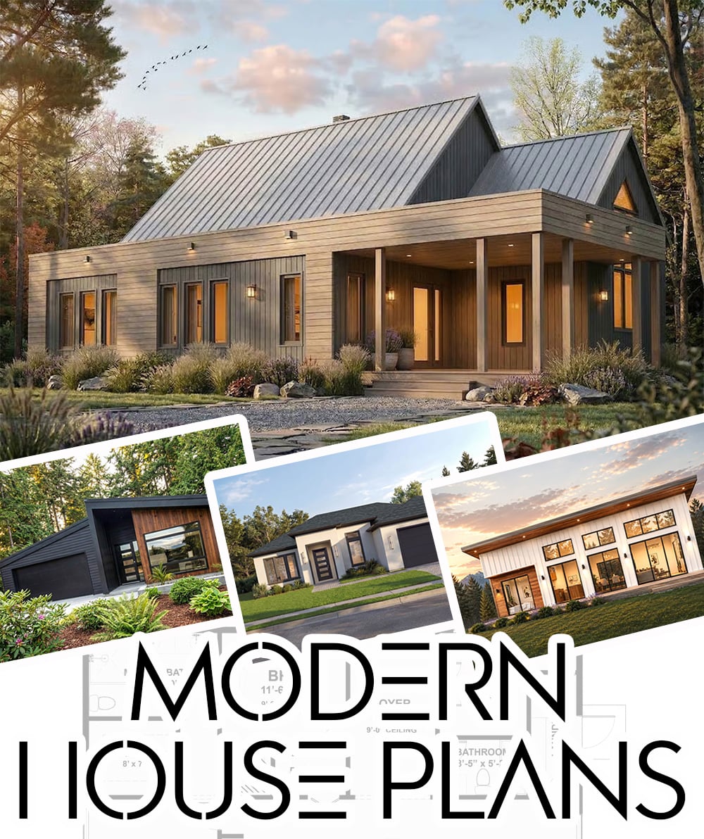 Modern Houses: Exterior & Plans